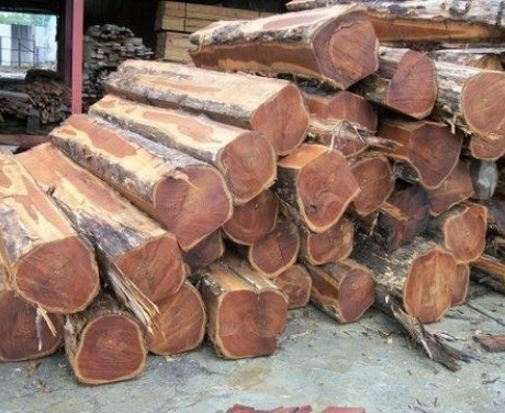 timber in Ghana